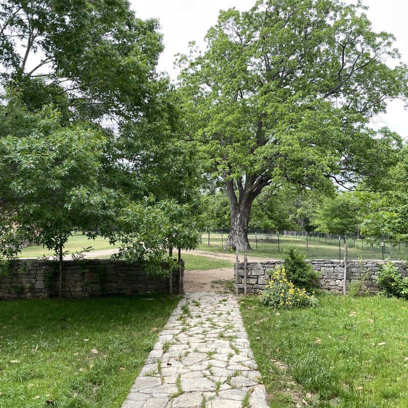 View from front door