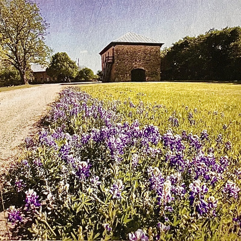 View of livery stable